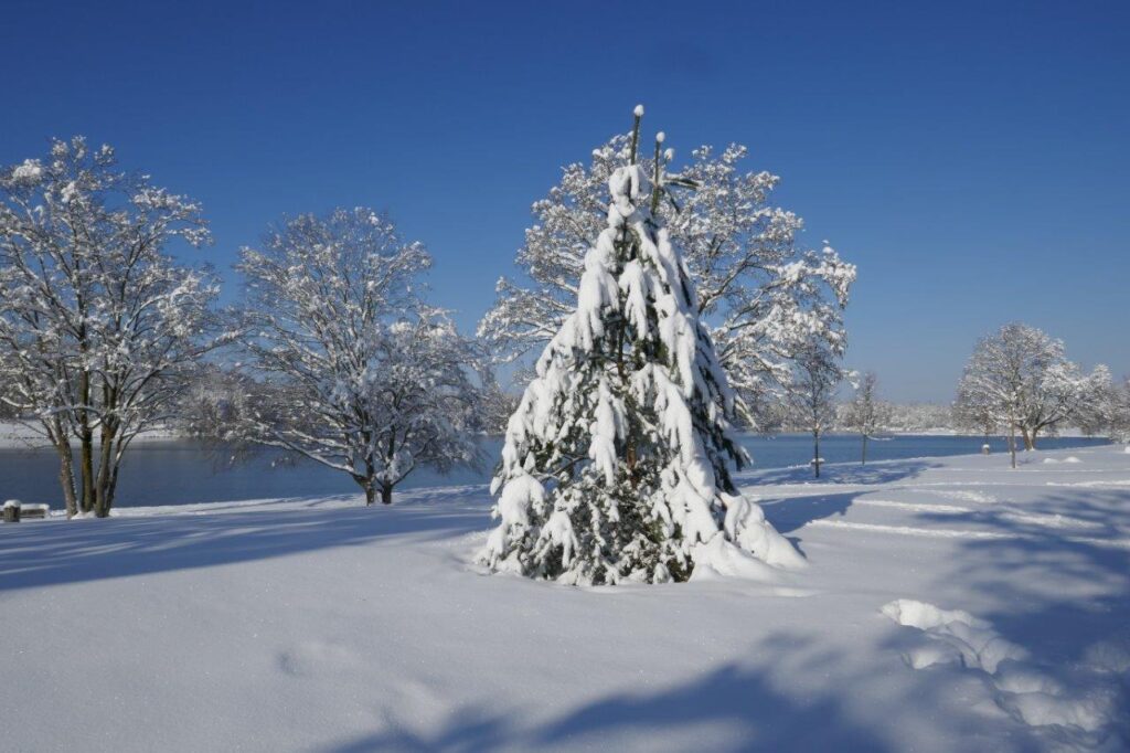 Winter-Wunderland am Karlsfelder See